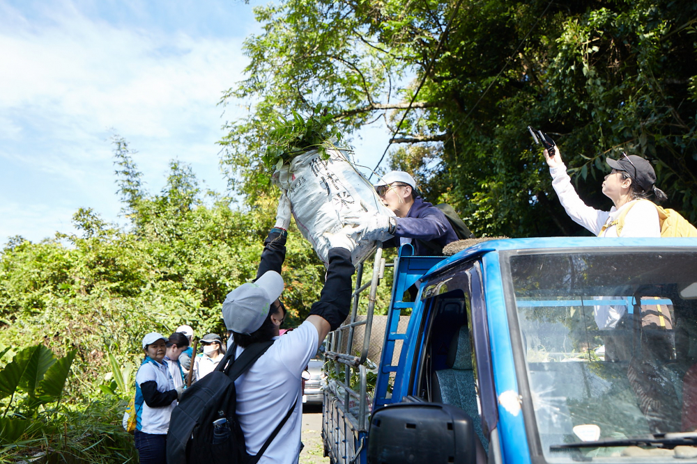 友達串聯志工組成水環境巡守隊，針對霄裡溪沿岸3公里的小花蔓澤蘭，定期進行移除與防治工作